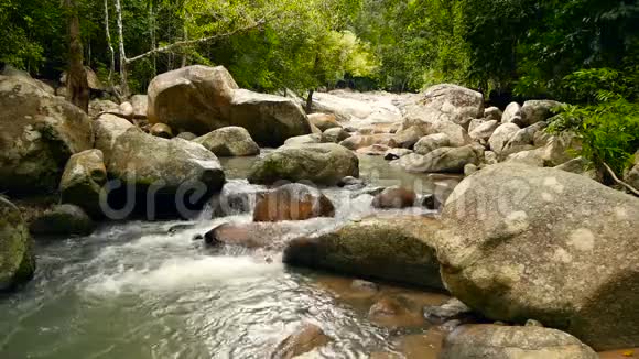 有岩石的雨林和河流的景色热带森林深处快石溪上长满树木的丛林视频的预览图