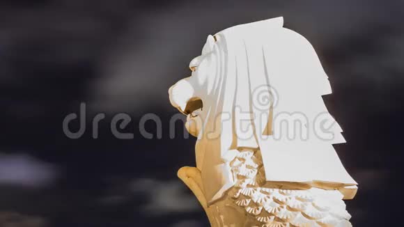 新加坡鱼尾狮雕像喷泉延时视频的预览图