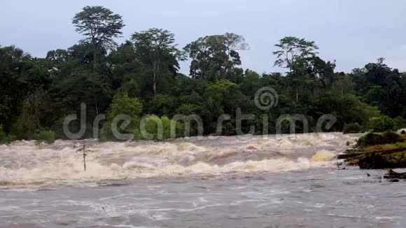 非洲丛林热带降雨后的洪水视频的预览图