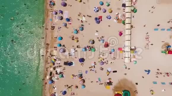 在阳光明媚的热天鸟瞰拥挤的海滩黄沙和雨伞视频的预览图