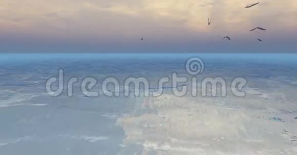 黄昏时分海鸥飞过海洋水面视频的预览图