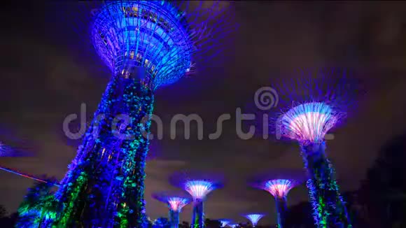 新加坡海湾边的花园时间流逝光线充足视频的预览图