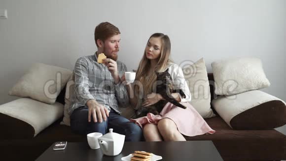 夫妻俩坐在家里的沙发上抚摸着一只猫喝着白茶看着电视视频的预览图