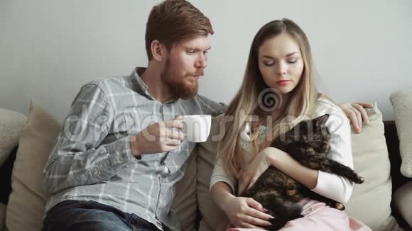 夫妻俩坐在家里的沙发上抚摸着一只猫喝着白茶看着电视视频的预览图