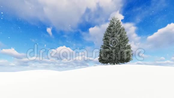 美丽的冬季景观与雪树视频的预览图