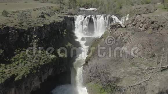 白河瀑布和天瀑布042819视频的预览图