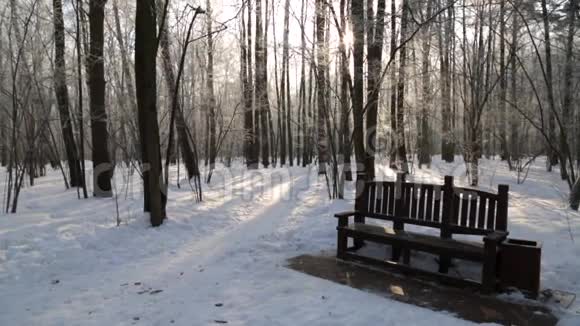 冬林被太阳照亮视频的预览图