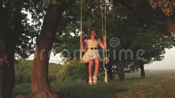 小女孩在阳光下的一棵树下荡秋千和孩子们玩小孩骑着绳子在橡树枝上荡秋千视频的预览图