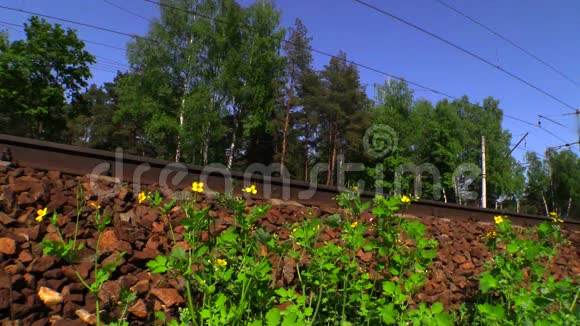俄罗斯铁路RZD郊区列车莫斯科地区2014年春季视频的预览图