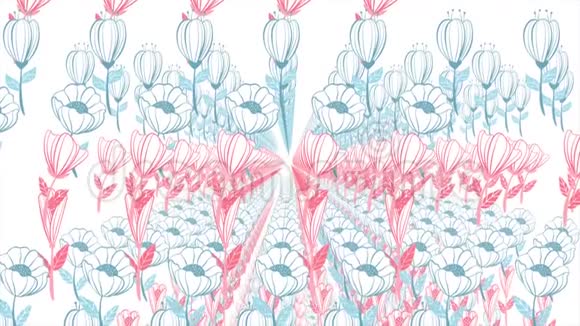 动画中画花的背景美丽的花卉背景视频的预览图