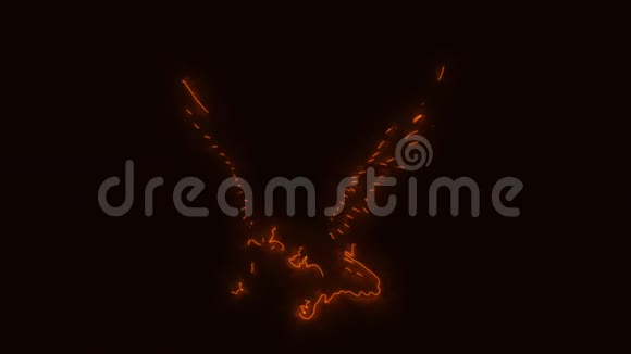 橙色燃烧鹰动画标志显示效果视频的预览图