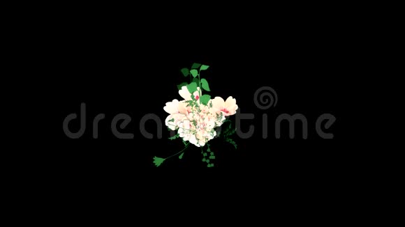开花白色花叶动画图形元素包括阿尔法频道视频的预览图