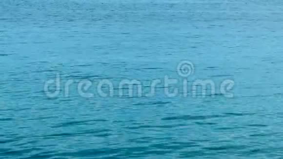 海洋水面纹理海浪和暑假背景视频的预览图