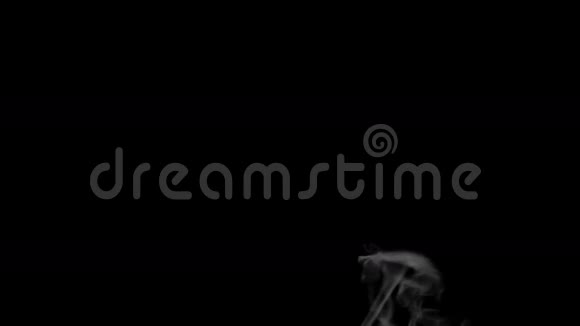 黑色背景上的白色烟雾全高清视频的预览图