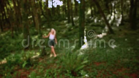 迷人的金发女郎穿过森林视频的预览图