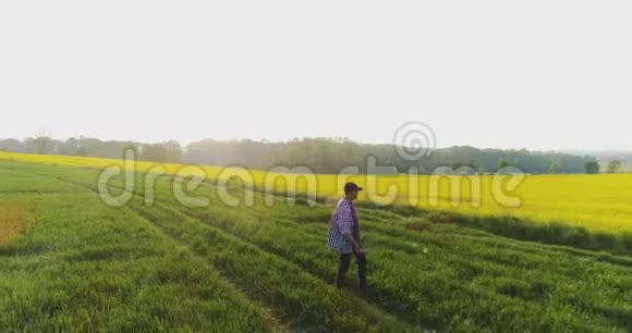 成熟的男性农民在农场剪贴板上写作现代农业视频的预览图