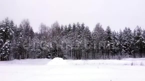 大自然的风景白雪皑皑视频的预览图