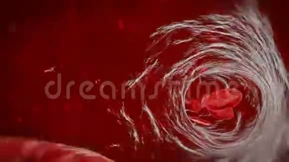3D血细胞穿过静脉人体血管内科学动画视频的预览图