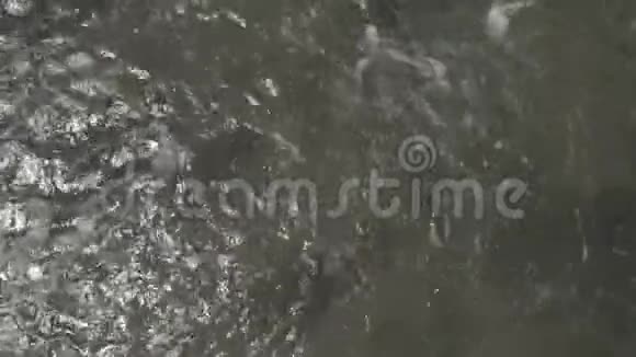 白河瀑布和天瀑布042819视频的预览图