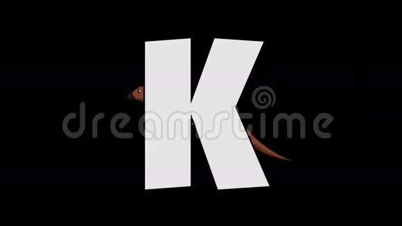 字母K和袋鼠背景视频的预览图