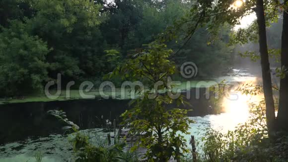 日出在河上视频的预览图