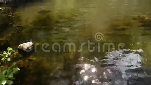 博茨瓦纳瀑布视频的预览图