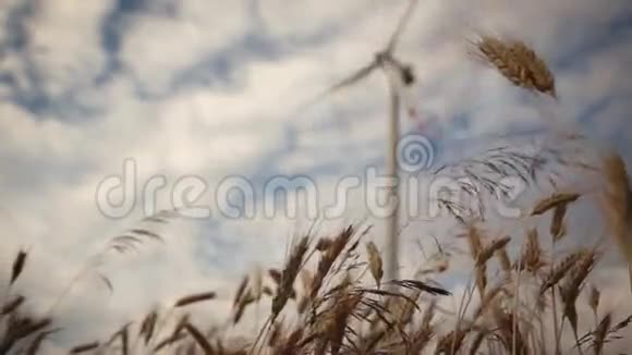 摄像机用风力涡轮机滑过小麦视频的预览图