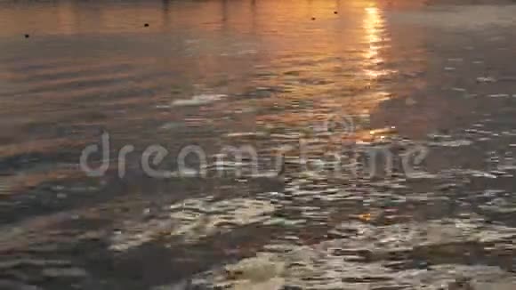河海太阳水视频的预览图