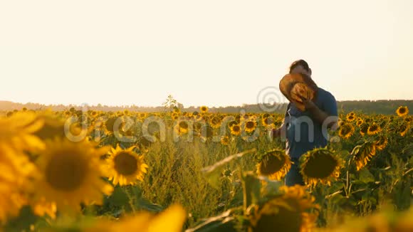 一个农民在开花的田野里散步一个农学家检查花和葵花籽他的领域是商人视频的预览图