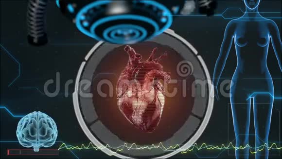 人体解剖学人类的心脏哈德背景医学概念解剖未来视频的预览图