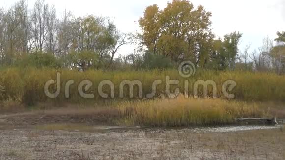 秋天描绘了南方的乌拉尔河视频的预览图