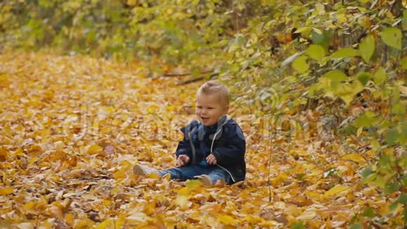 秋天森林里的小男孩视频的预览图