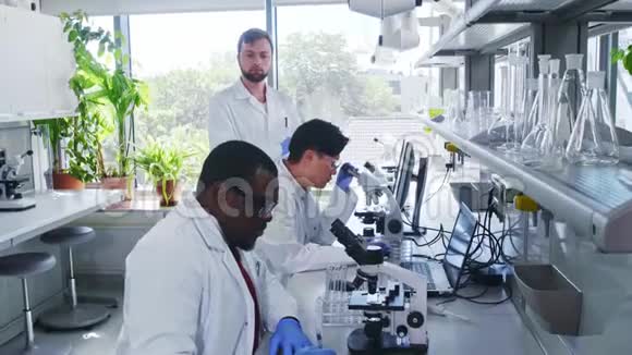 科学家和在实验室工作的学生医生带教实习生做分析研究实验室工具显微镜视频的预览图