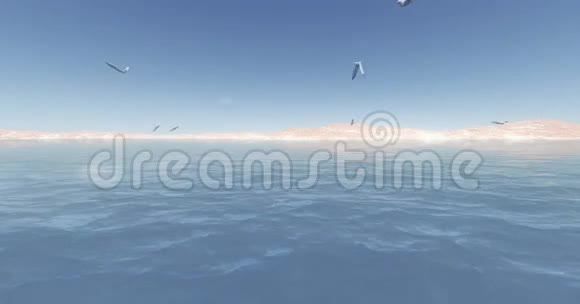 海鸥盘旋在阳光湖和山上视频的预览图