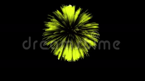 色彩斑斓的单根烟火在夜晚壮观的单一烟花3D渲染黄色版本31视频的预览图