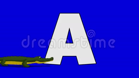 字母A和鳄鱼前景视频的预览图