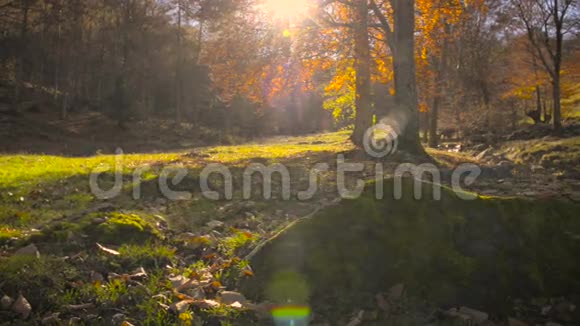 秋天的乡村风景视频的预览图
