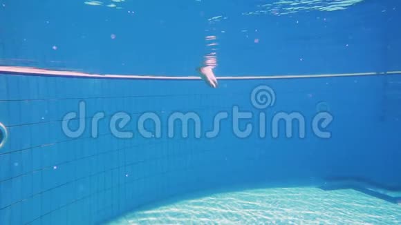 年轻女孩在游泳池里潜水视频的预览图