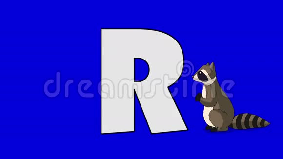 字母R和浣熊前景视频的预览图