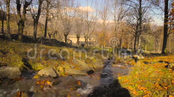 秋天的乡村风景视频的预览图