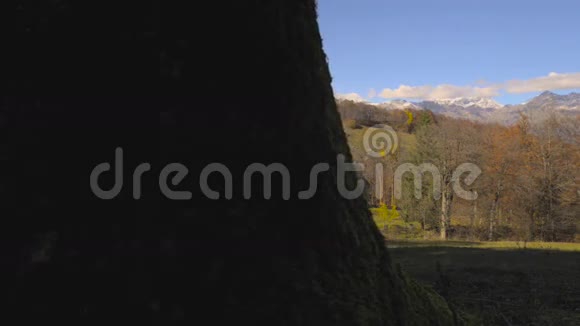 秋天的乡村风景视频的预览图