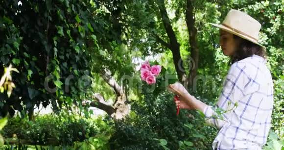 女人在花园里剪花茎视频的预览图