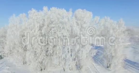空中冬天森林里的早晨冰封的桦树冬野霜冻蓝天视频的预览图