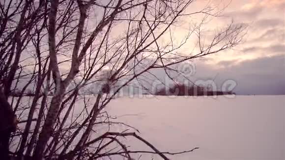 冬林夕阳西下多莉镜头移动平稳视频的预览图