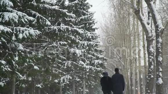 年轻夫妇在雪天散步视频的预览图