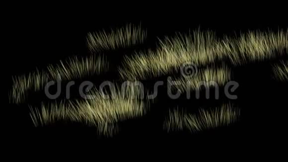 微风吹拂草原草甸草原麦麦背景视频的预览图