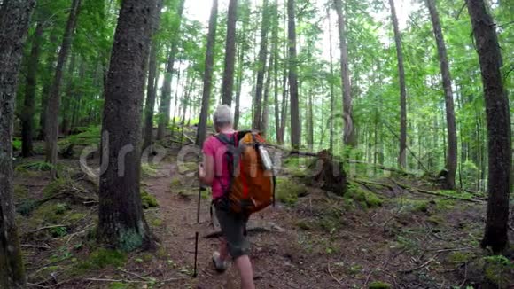 成熟的女人穿过森林4K视频的预览图