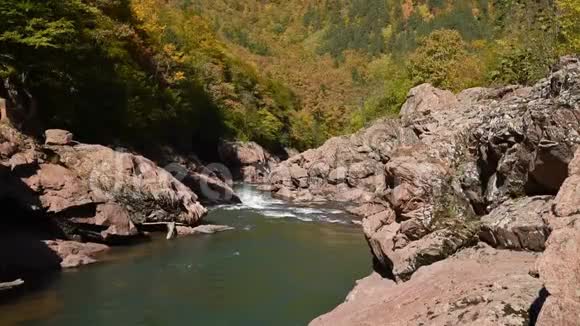 秋景伴山河视频的预览图