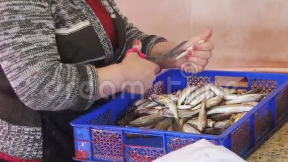 食鱼小贩在街市上截捕食鱼视频的预览图