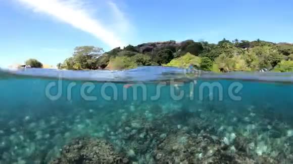 斯诺克尔塞舌尔群岛视频的预览图